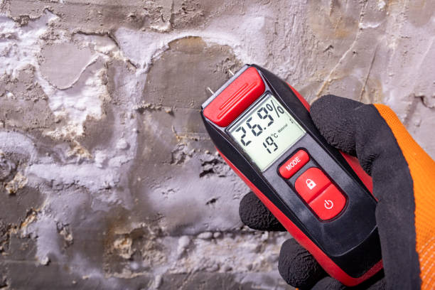Best Office Mold Removal Services  in Croydon, PA