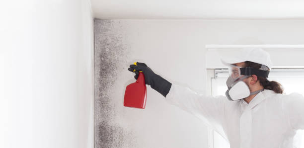 Crawl Space Mold Removal in Croydon, PA